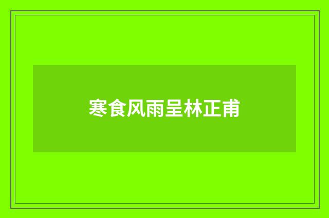 寒食风雨呈林正甫