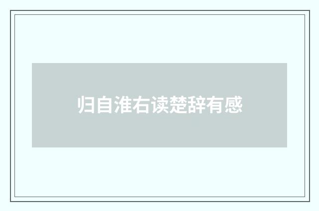 归自淮右读楚辞有感