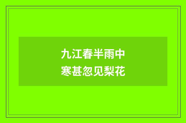 九江春半雨中寒甚忽见梨花
