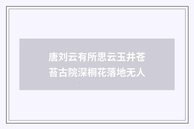 唐刘云有所思云玉井苍苔古院深桐花落地无人