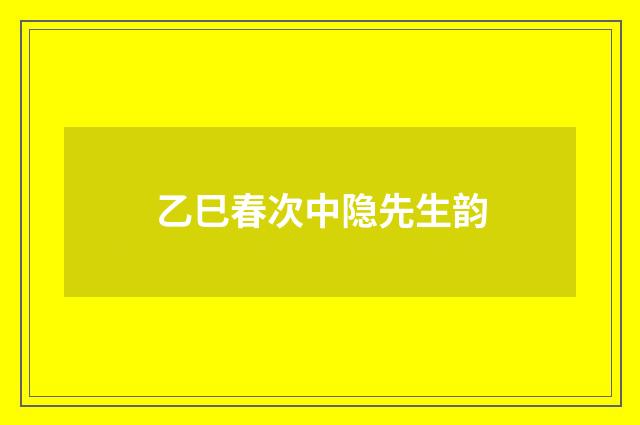 乙巳春次中隐先生韵