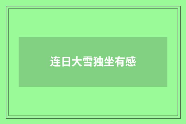 连日大雪独坐有感