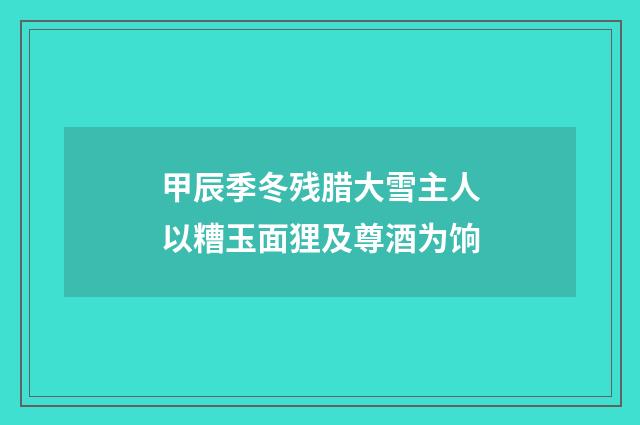 甲辰季冬残腊大雪主人以糟玉面狸及尊酒为饷