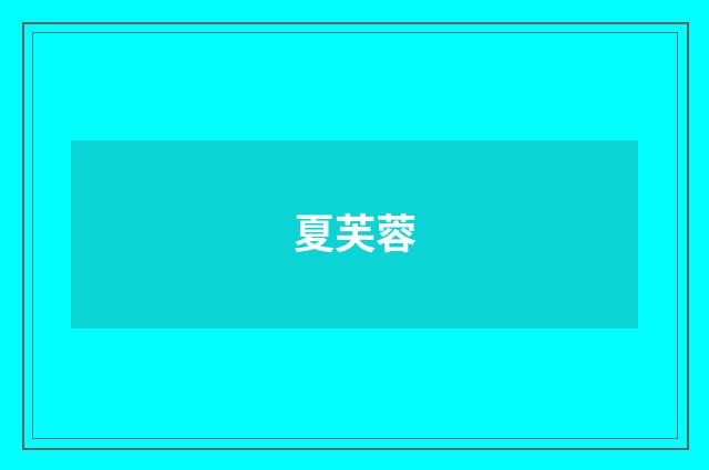 夏芙蓉