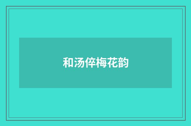 和汤倅梅花韵