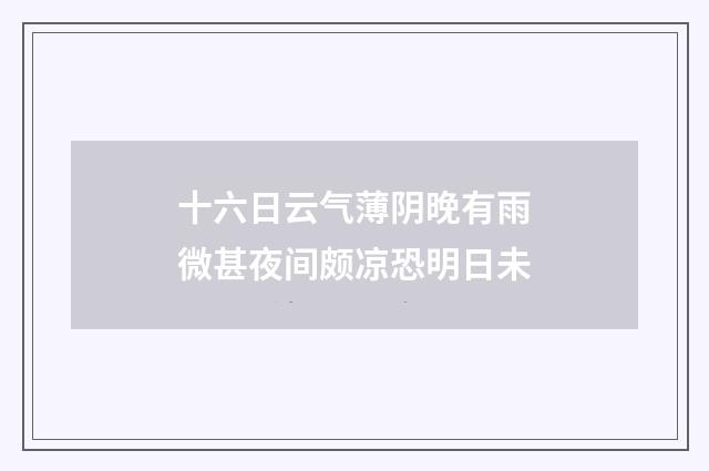 十六日云气薄阴晚有雨微甚夜间颇凉恐明日未