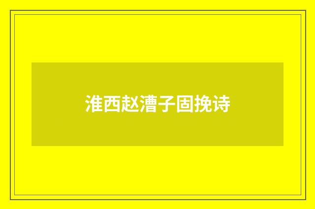 淮西赵漕子固挽诗