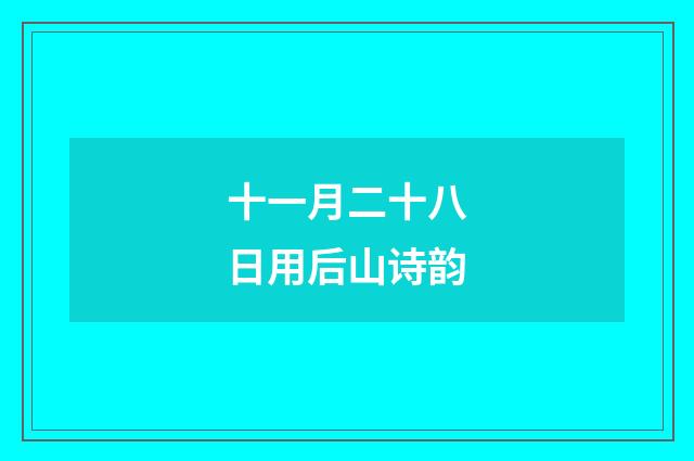 十一月二十八日用后山诗韵