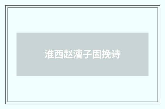 淮西赵漕子固挽诗