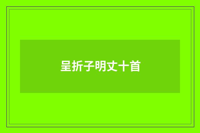 呈折子明丈十首