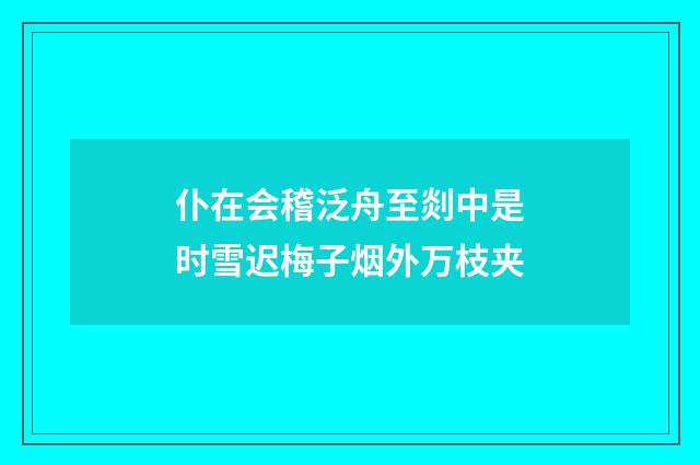 仆在会稽泛舟至剡中是时雪迟梅子烟外万枝夹