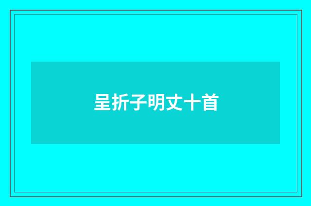 呈折子明丈十首