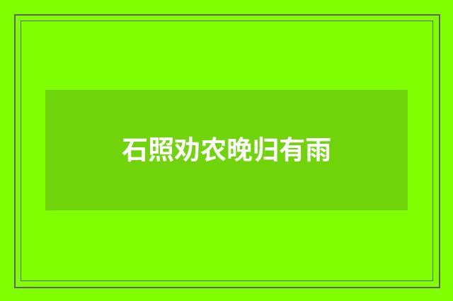 石照劝农晚归有雨