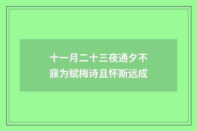 十一月二十三夜通夕不寐为赋梅诗且怀斯远成