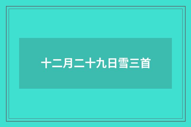 十二月二十九日雪三首