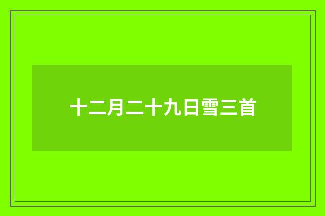 十二月二十九日雪三首