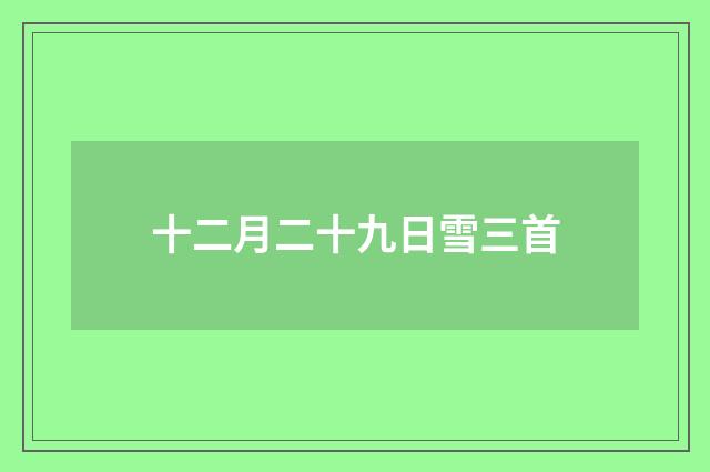 十二月二十九日雪三首