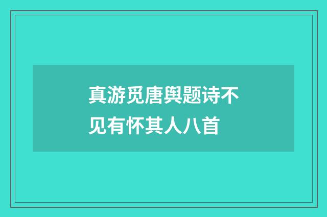 真游觅唐舆题诗不见有怀其人八首