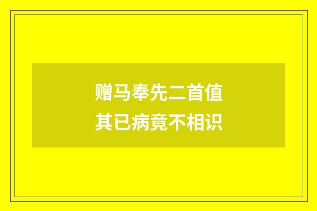 赠马奉先二首值其已病竟不相识