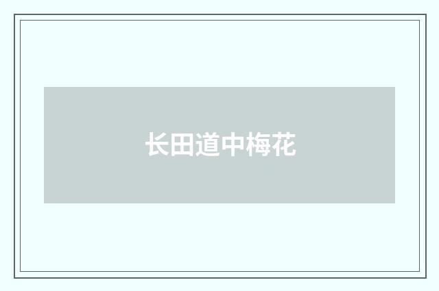 长田道中梅花