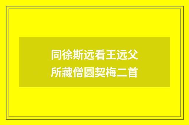 同徐斯远看王远父所藏僧圆契梅二首