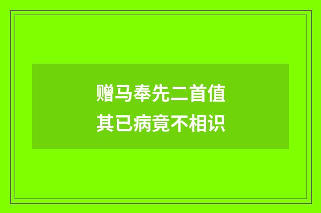 赠马奉先二首值其已病竟不相识