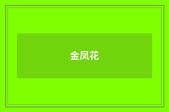 金凤花