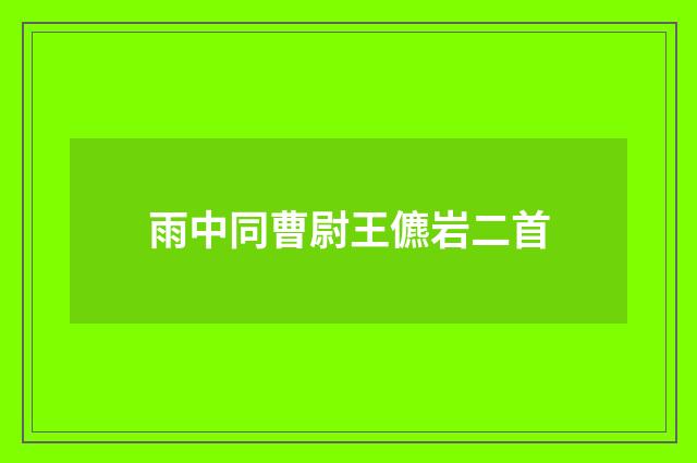 雨中同曹尉王儦岩二首