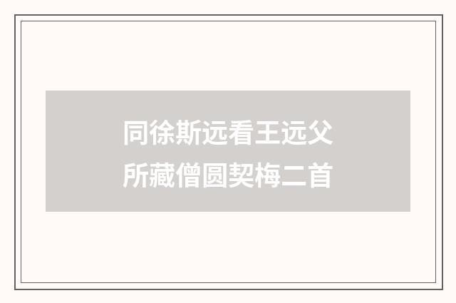 同徐斯远看王远父所藏僧圆契梅二首