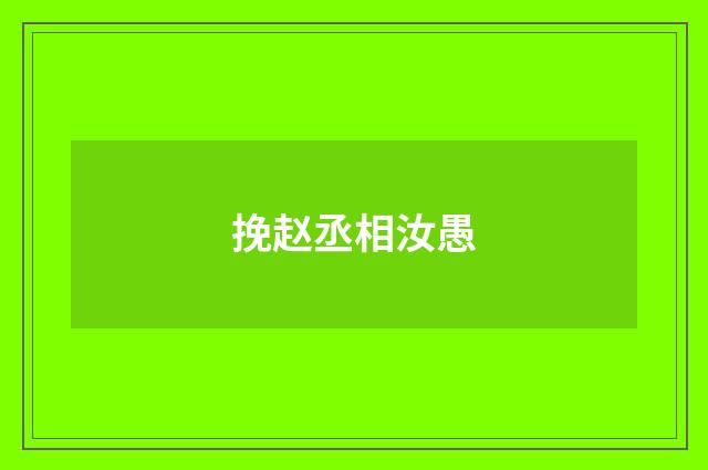 挽赵丞相汝愚