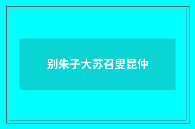 别朱子大苏召叟昆仲