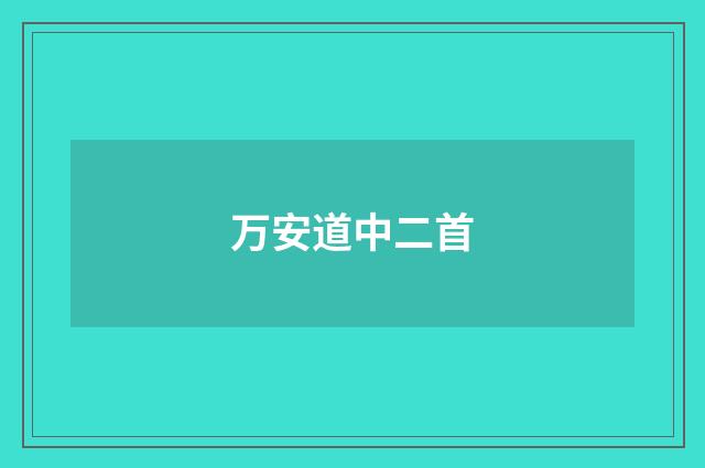 万安道中二首