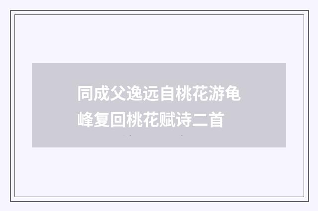 同成父逸远自桃花游龟峰复回桃花赋诗二首