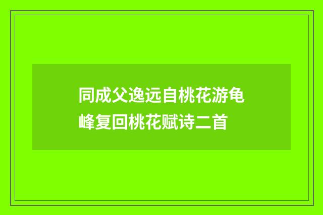 同成父逸远自桃花游龟峰复回桃花赋诗二首