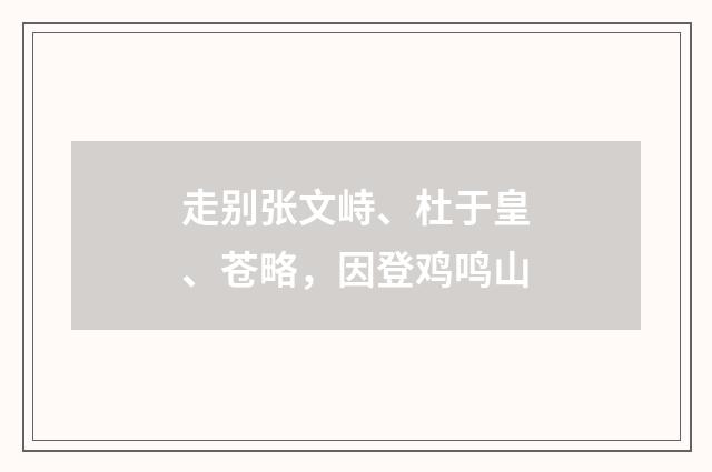 走别张文峙、杜于皇、苍略，因登鸡鸣山