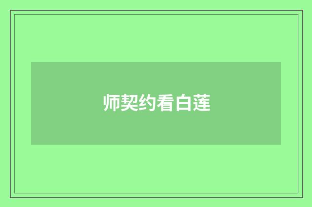 师契约看白莲