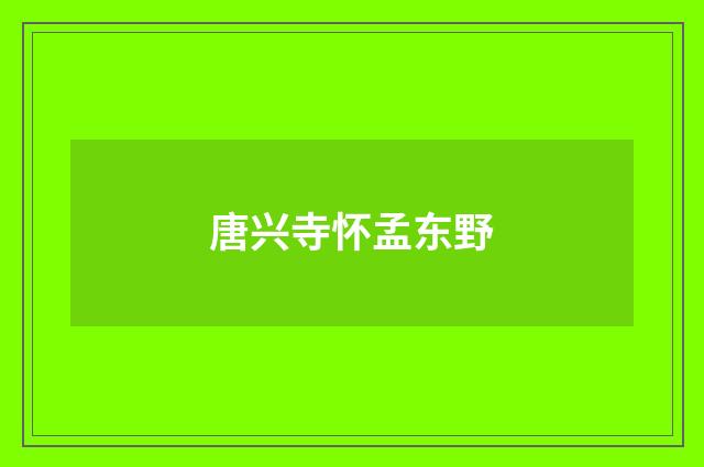 唐兴寺怀孟东野
