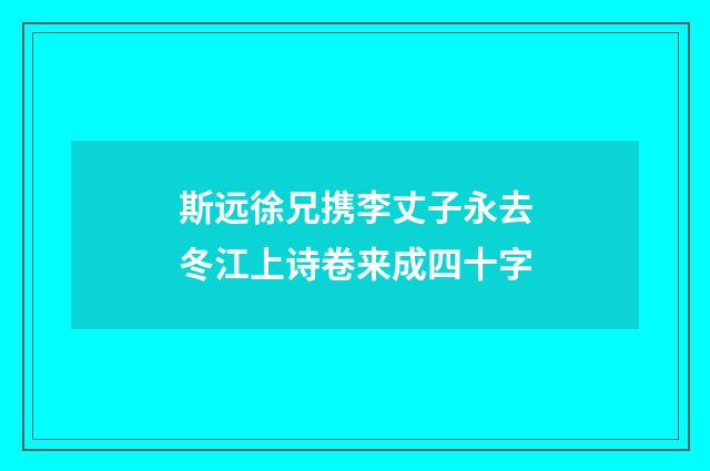 斯远徐兄携李丈子永去冬江上诗卷来成四十字