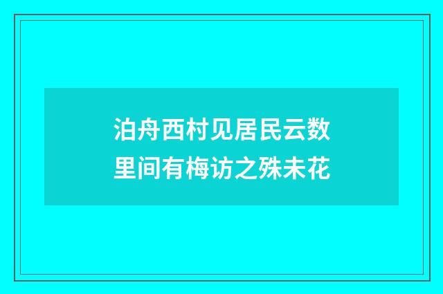 泊舟西村见居民云数里间有梅访之殊未花