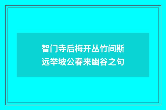 智门寺后梅开丛竹间斯远举坡公春来幽谷之句