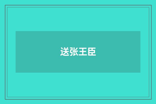 送张王臣