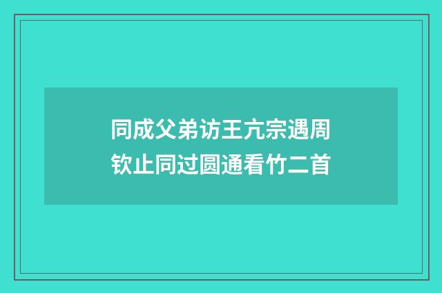 同成父弟访王亢宗遇周钦止同过圆通看竹二首