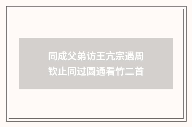 同成父弟访王亢宗遇周钦止同过圆通看竹二首