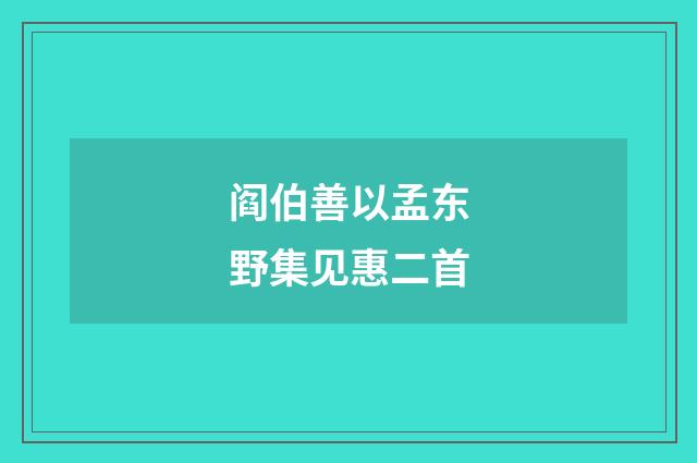 阎伯善以孟东野集见惠二首