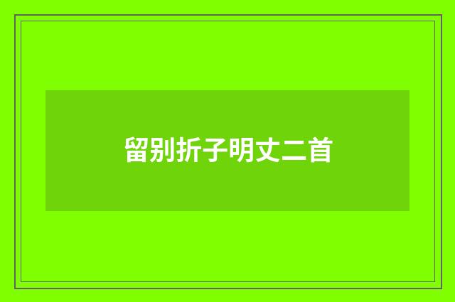 留别折子明丈二首