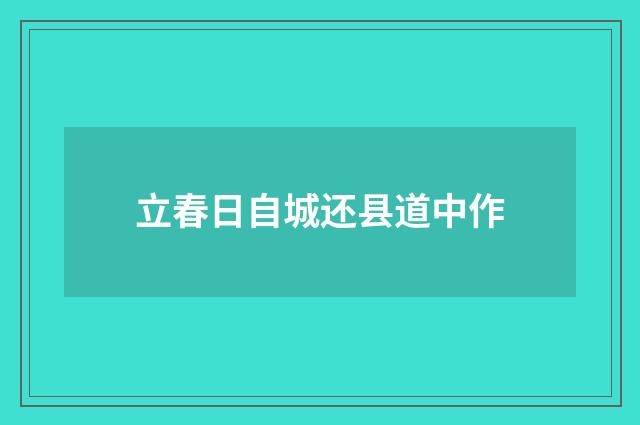 立春日自城还县道中作