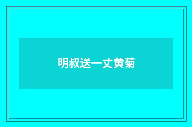 明叔送一丈黄菊