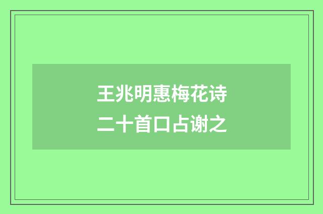 王兆明惠梅花诗二十首口占谢之