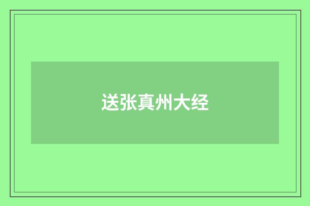 送张真州大经