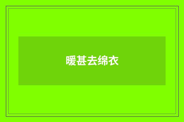暖甚去绵衣